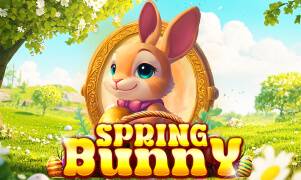 Spring Bunny